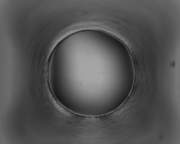 X0000095671526200801151052