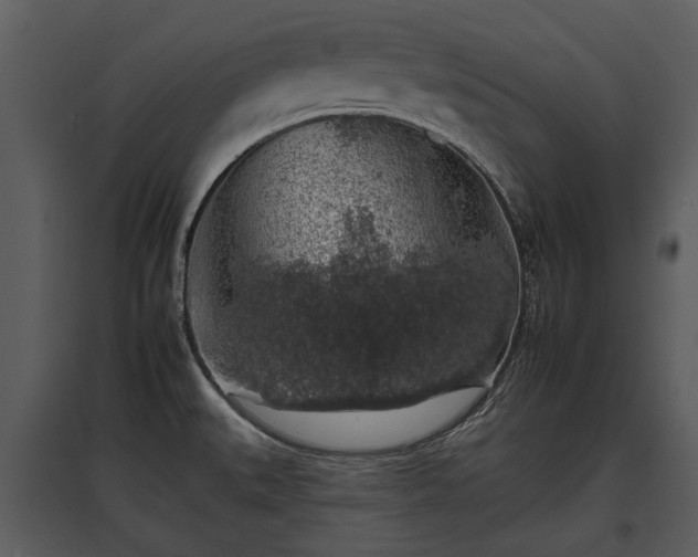 X0000095671527200801151052