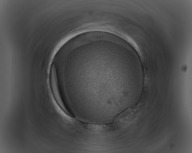 X0000095671528200801151052