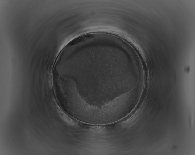 X0000095671529200801151052