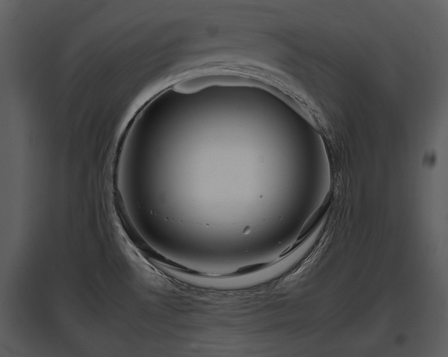 X0000095671530200801151052