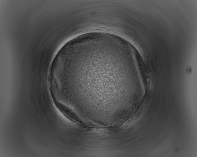 X0000095671531200801151052