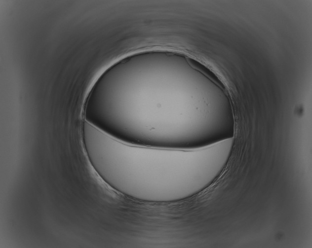 X0000095671532200801151052