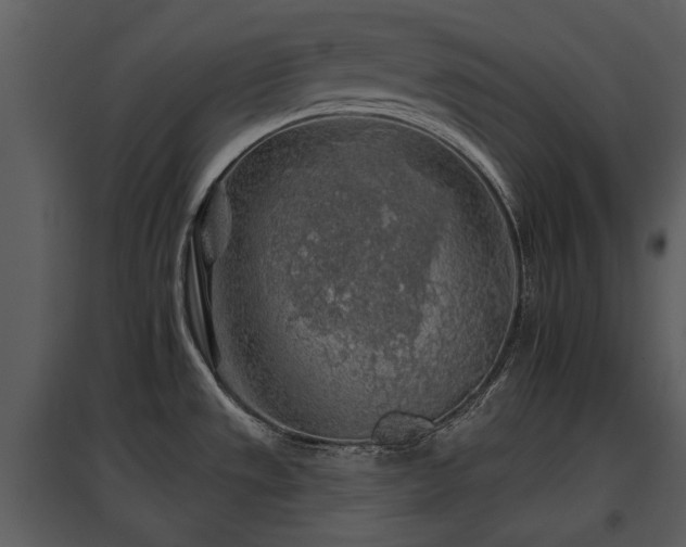 X0000095671533200801151052