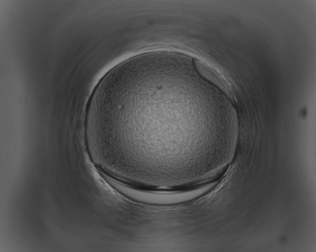 X0000095671534200801151052