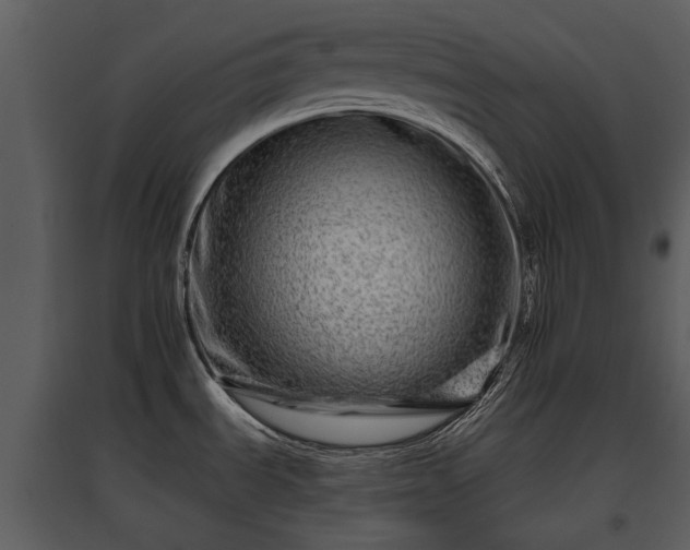 X0000095671535200801151052