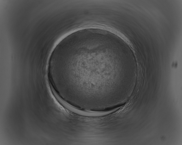 X0000095671536200801151052