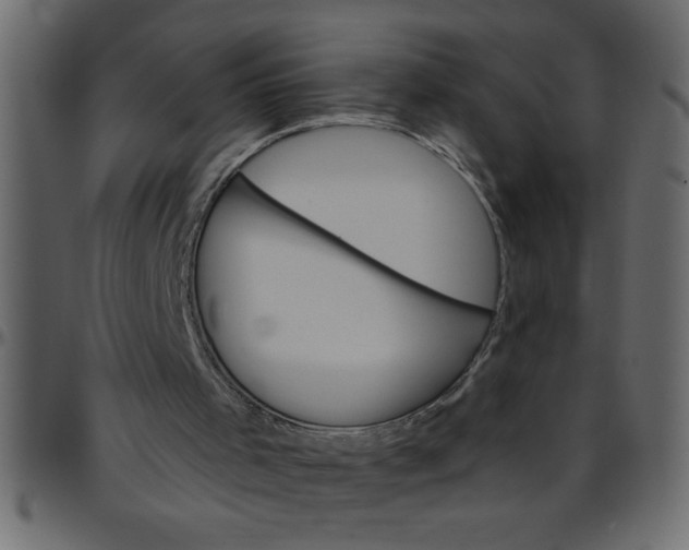 X0000095670001200801221214