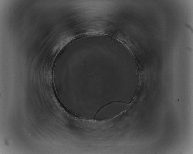 X0000095670002200801221214