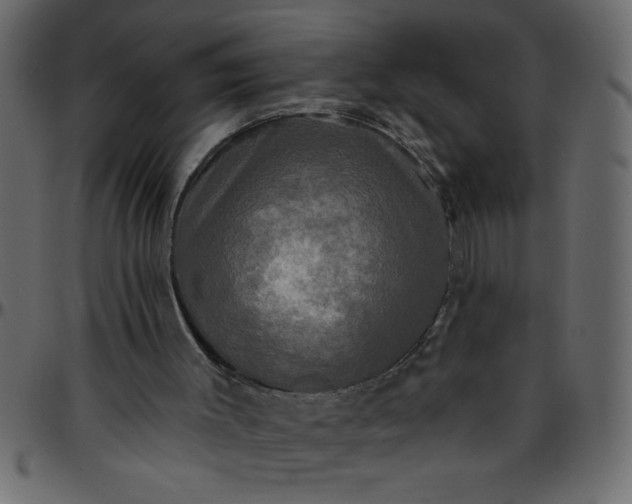 X0000095670003200801221214