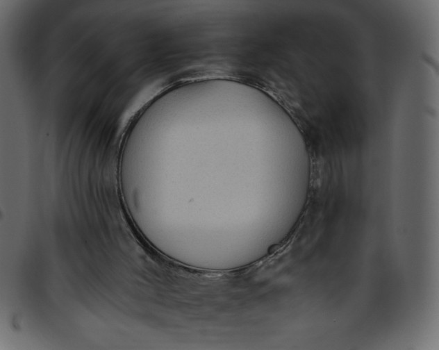 X0000095670004200801221214