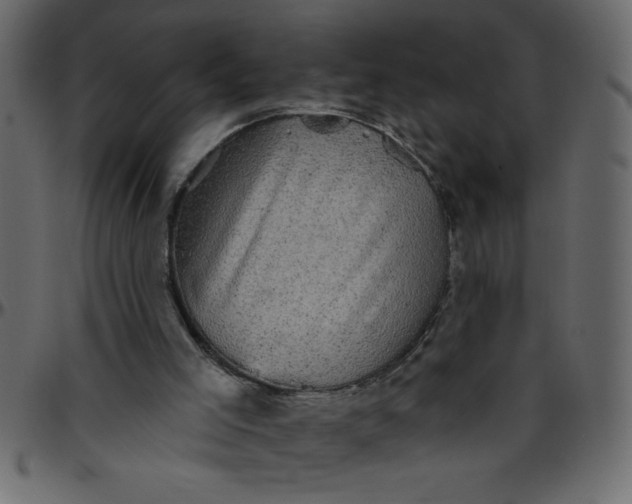 X0000095670005200801221214