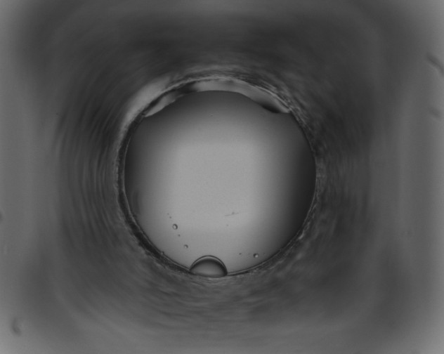 X0000095670006200801221214