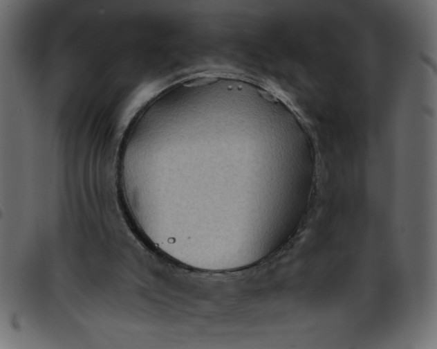 X0000095670007200801221214