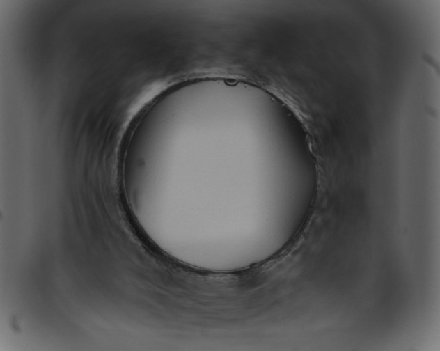 X0000095670008200801221214