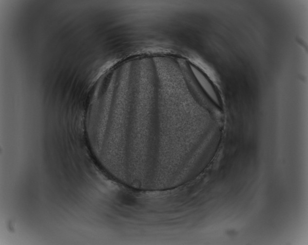 X0000095670009200801221214