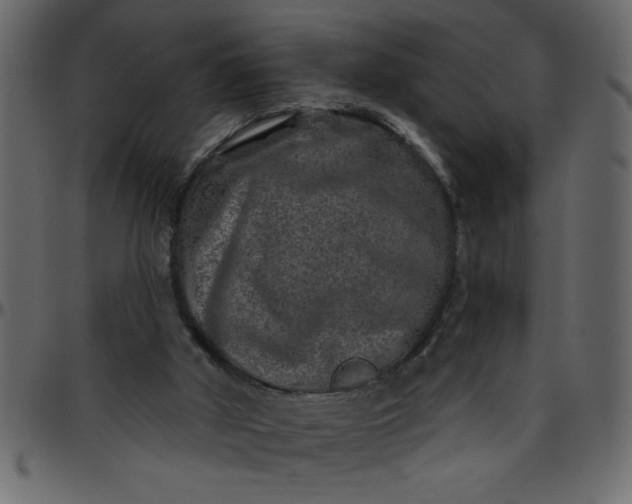 X0000095670010200801221214