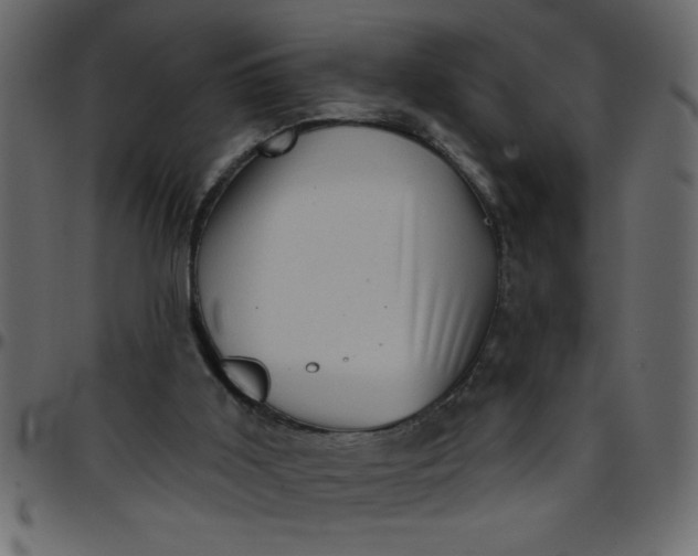 X0000095670011200801221214