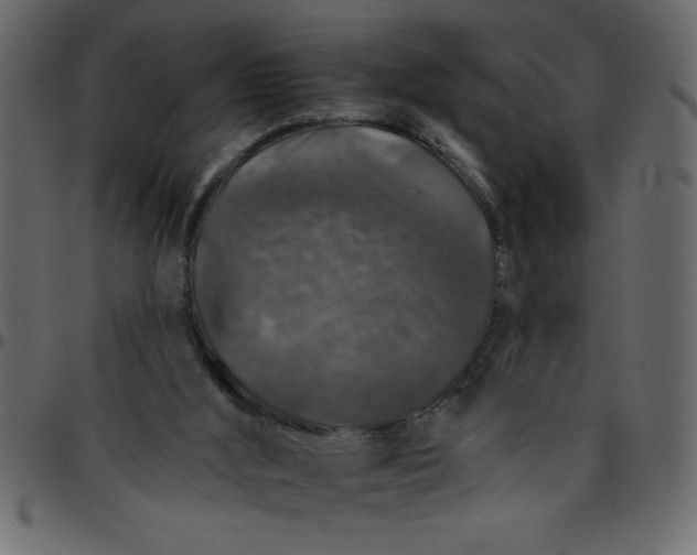 X0000095670012200801221214