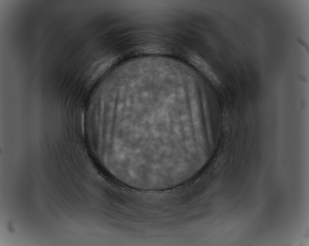 X0000095670014200801221214