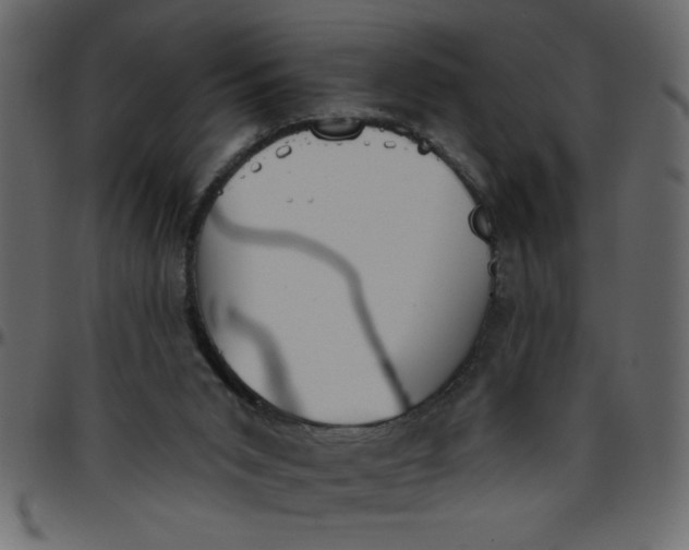 X0000095670015200801221214