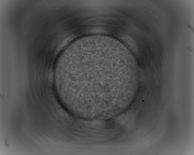 X0000095670016200801221214