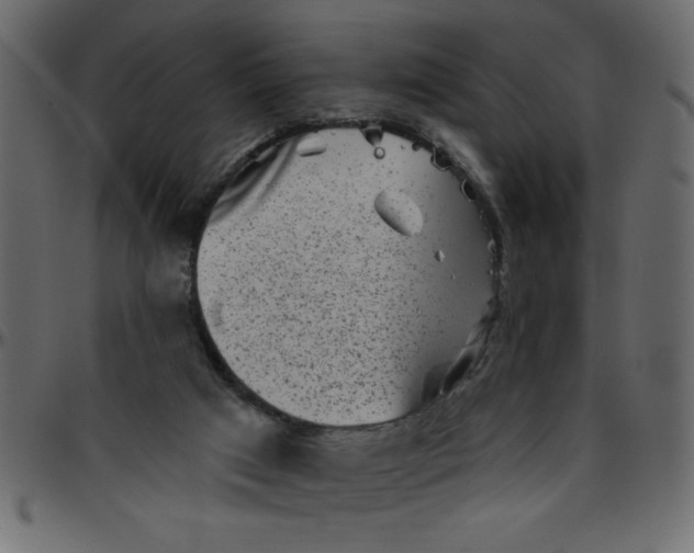 X0000095670017200801221214