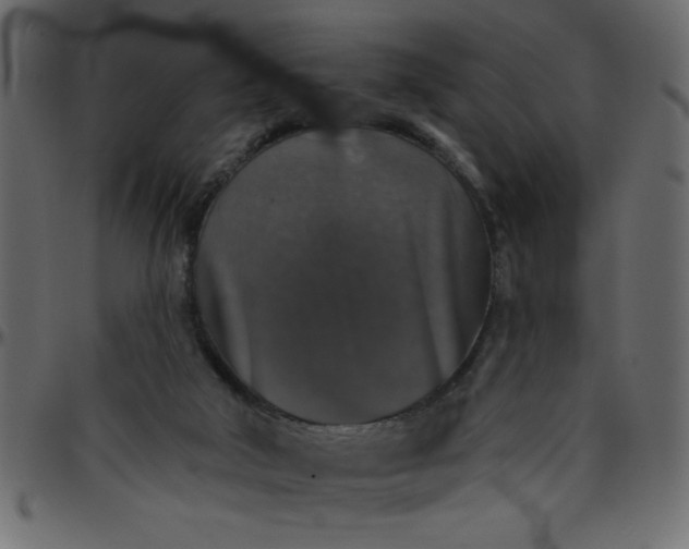 X0000095670018200801221214