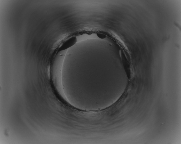 X0000095670019200801221214