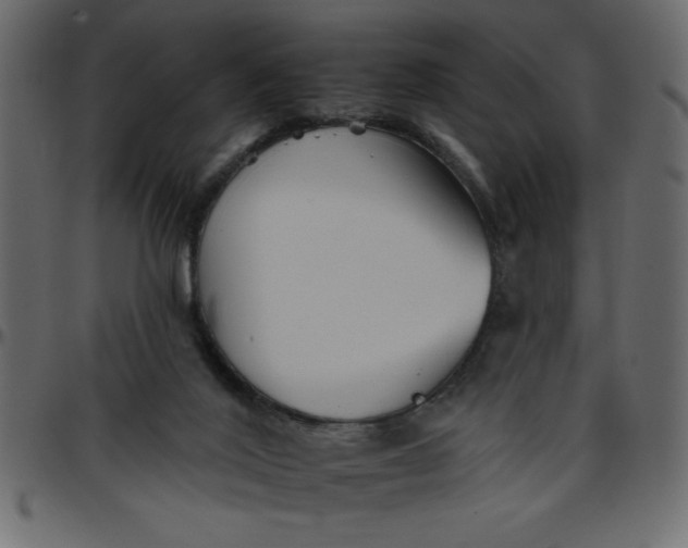 X0000095670020200801221214