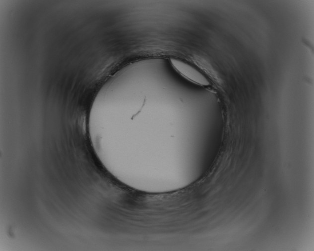 X0000095670021200801221214