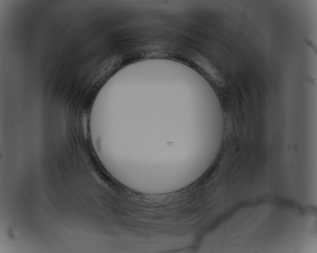 X0000095670022200801221214