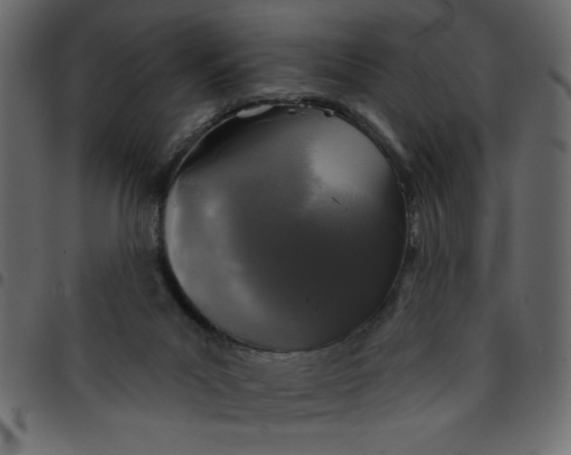 X0000095670023200801221214