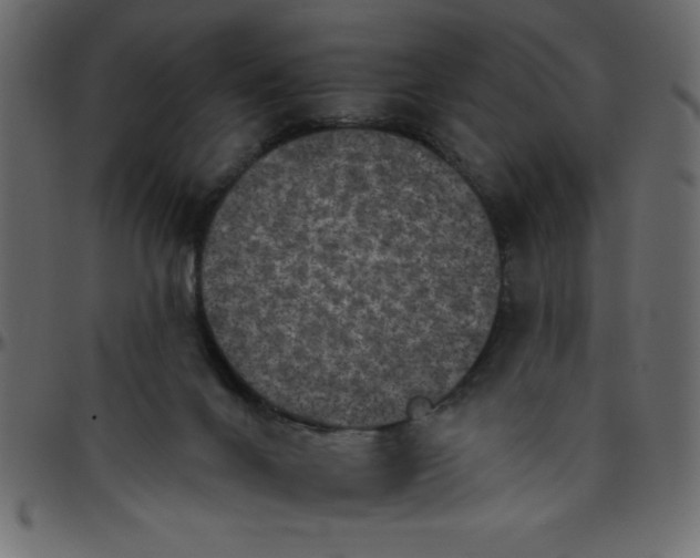 X0000095670024200801221214