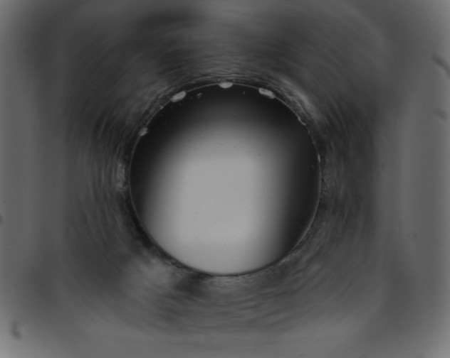 X0000095670025200801221214