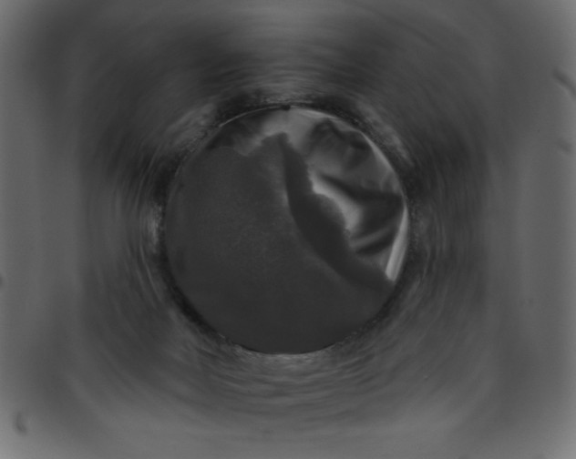 X0000095670026200801221214