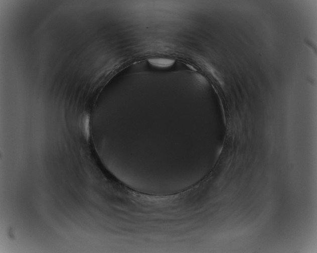 X0000095670027200801221214