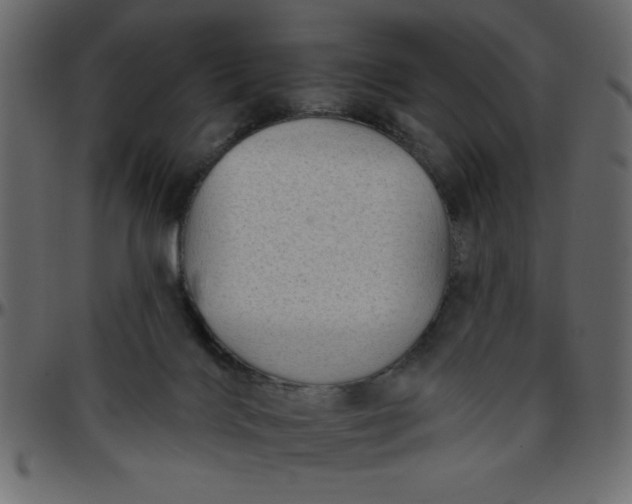 X0000095670028200801221214