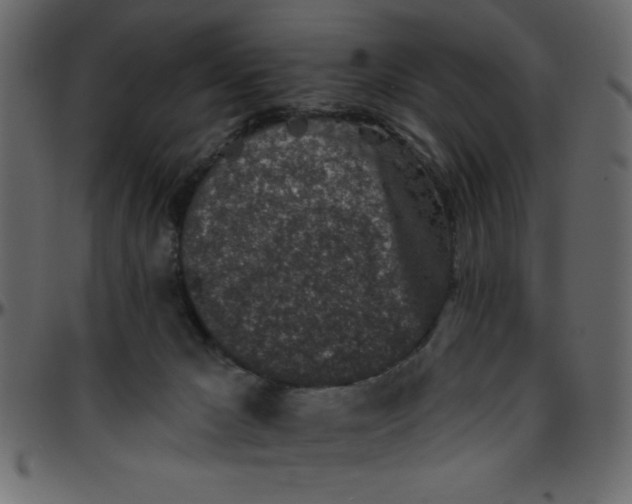 X0000095670029200801221214