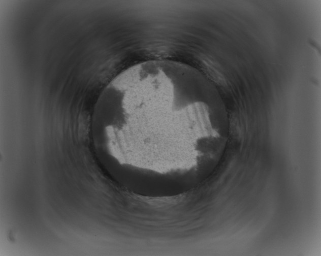 X0000095670030200801221214