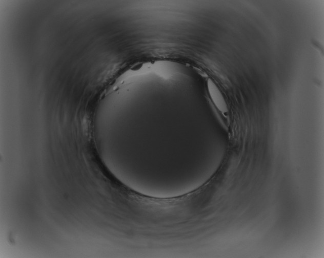 X0000095670031200801221214