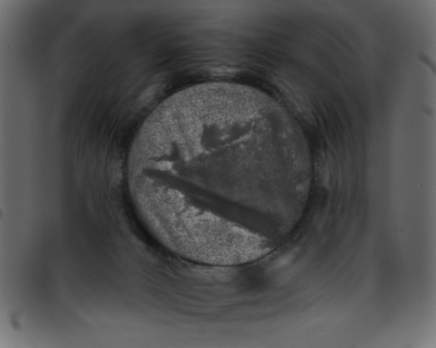 X0000095670032200801221214