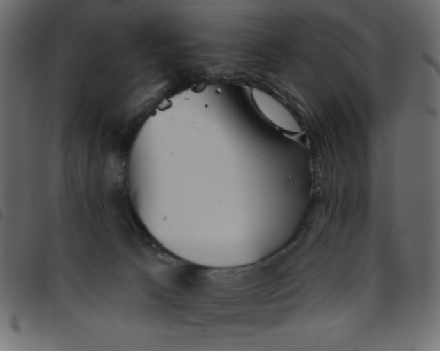 X0000095670033200801221214