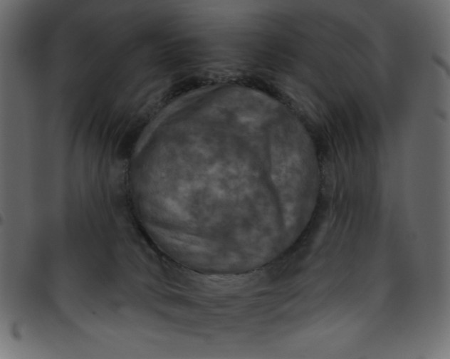 X0000095670034200801221214