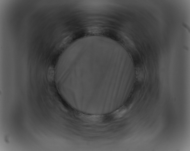 X0000095670036200801221213