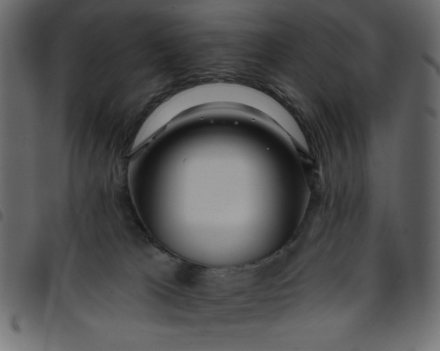 X0000095670037200801221213