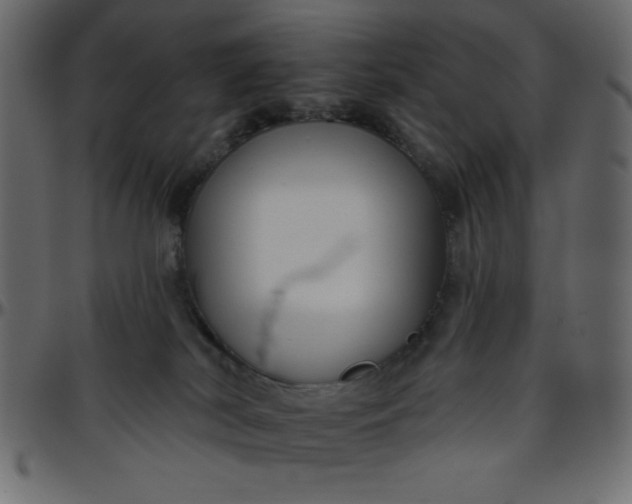 X0000095670038200801221213