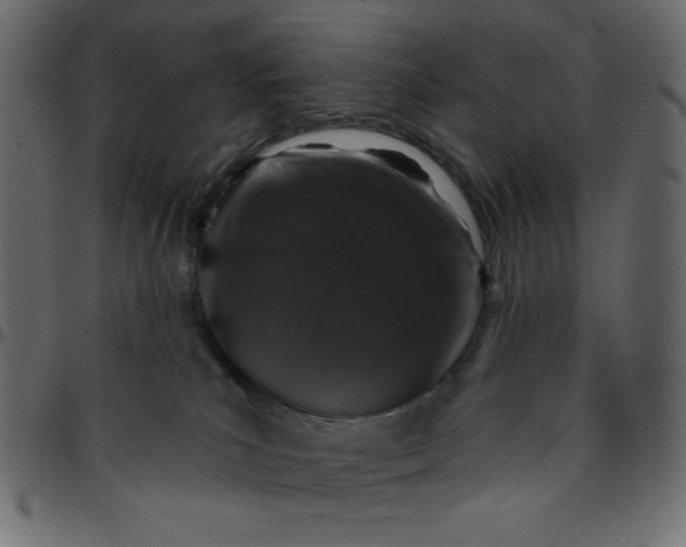 X0000095670039200801221213