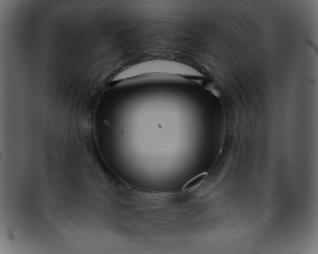 X0000095670040200801221213