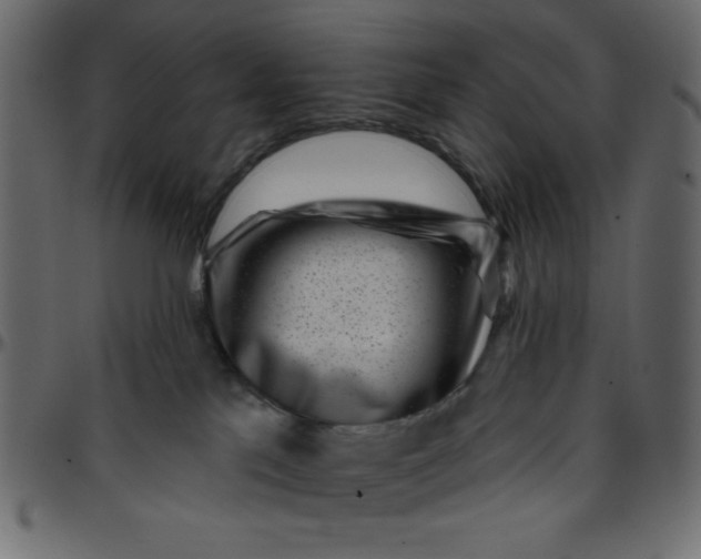 X0000095670041200801221213